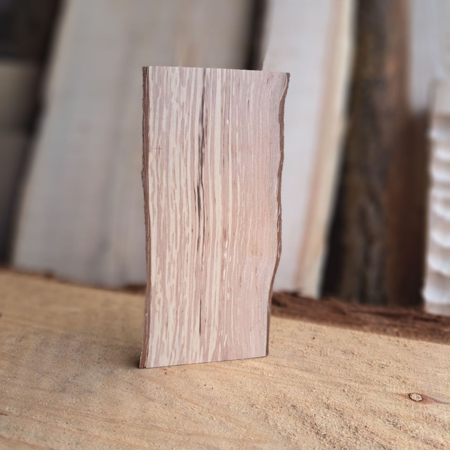 Hazel spalted bark blank
