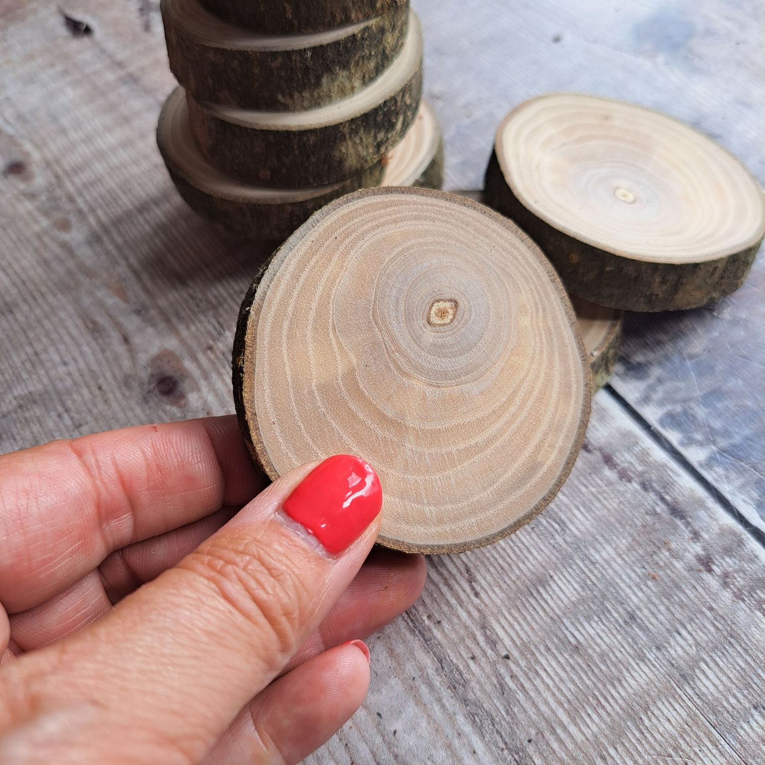 5cm - 6cm ash wood slices