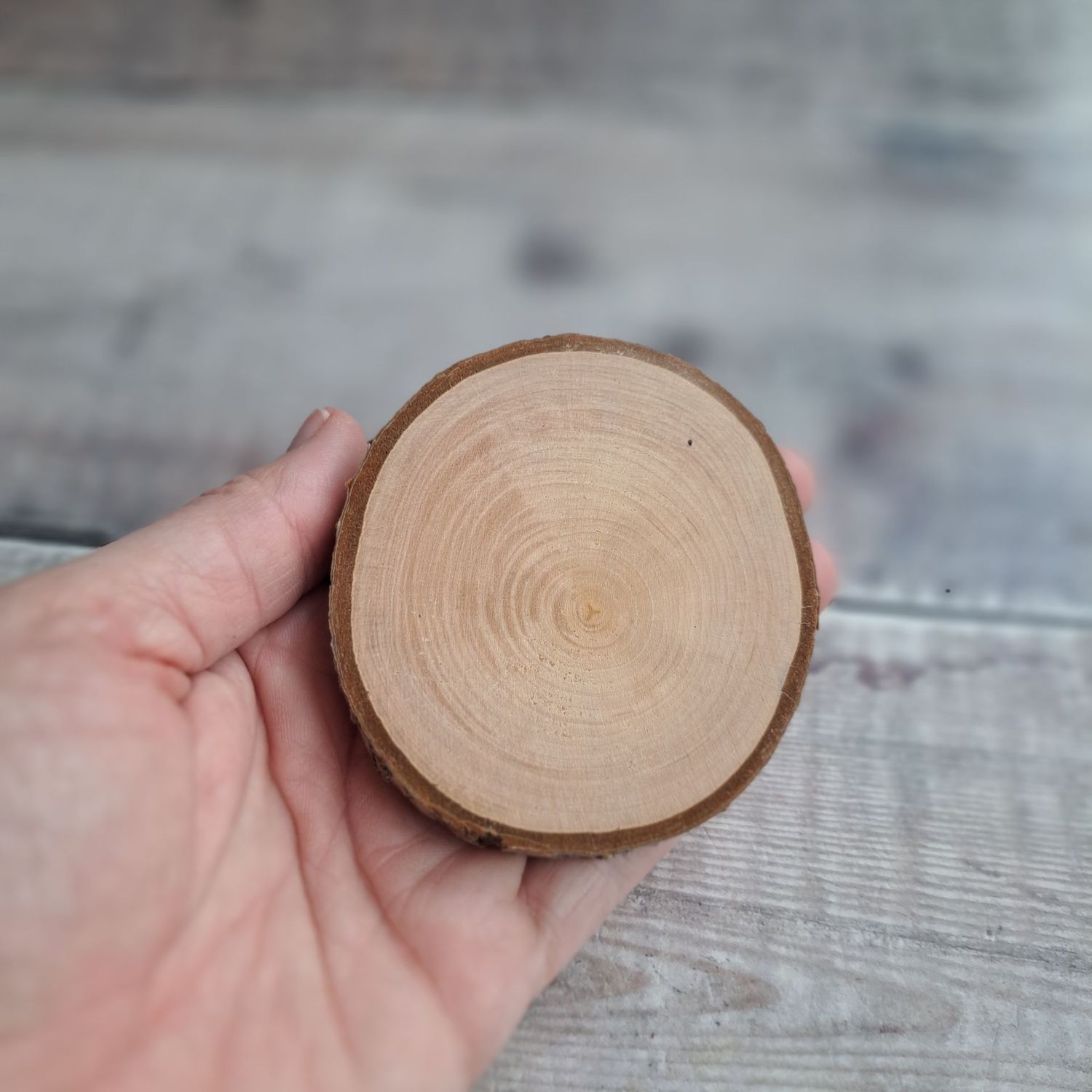 8cm wood slice