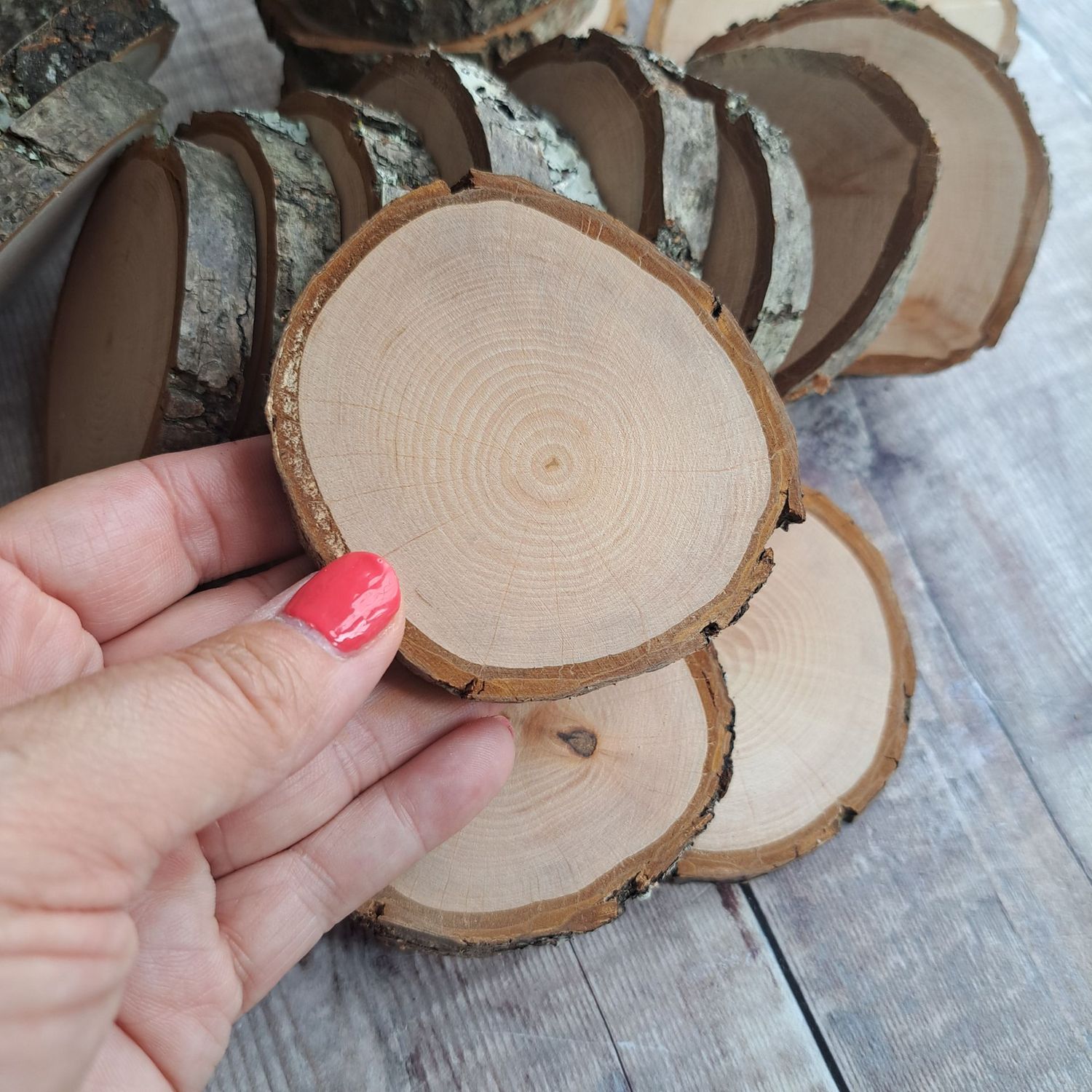 7cm - 8cm wood slice