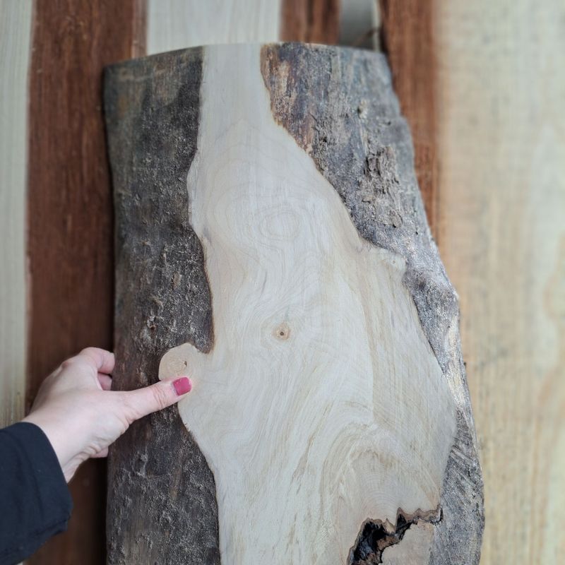 Large rustic sycamore blank