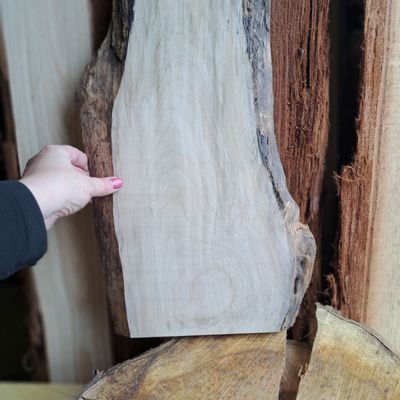 67cm tall sycamore blank 67cm tall sycamore blank