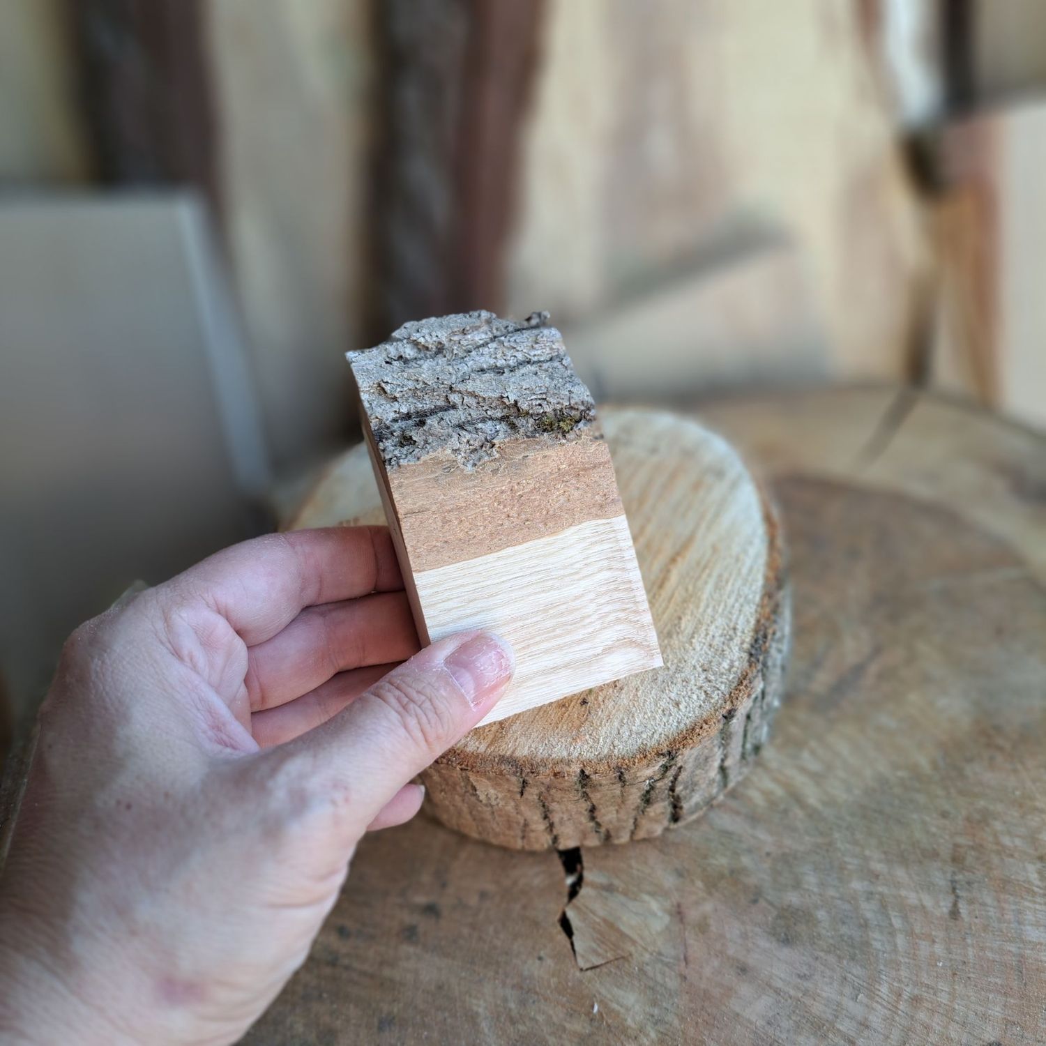 Tiny ash blank