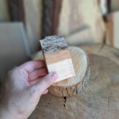 Tiny ash blank