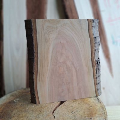 Black cherry pyrography blank