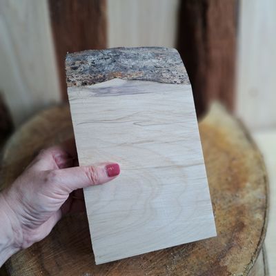 23cm tall Sycamore blank 23cm tall Sycamore blank