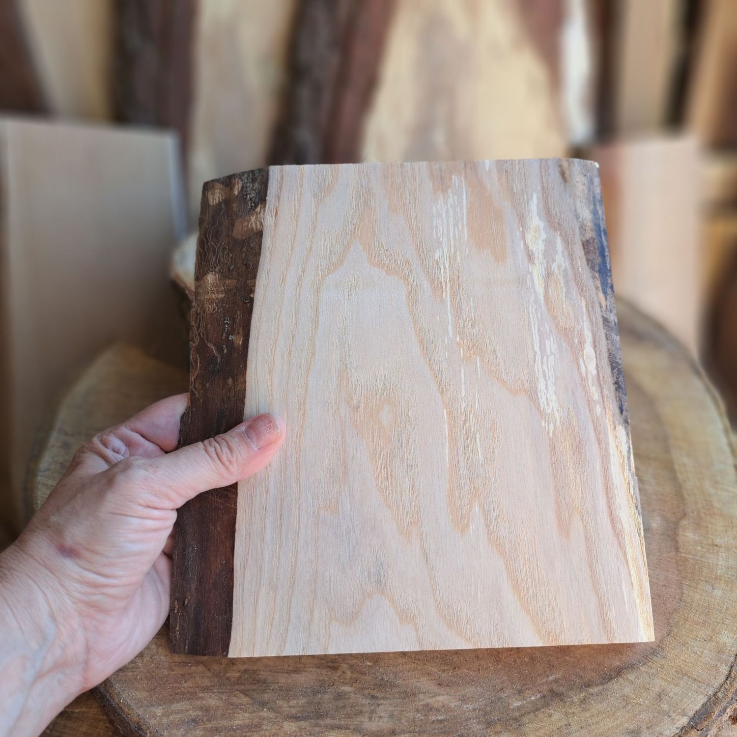 21cm tall Sycamore blank