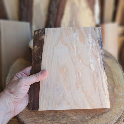 21cm tall Sycamore blank 21cm tall Sycamore blank