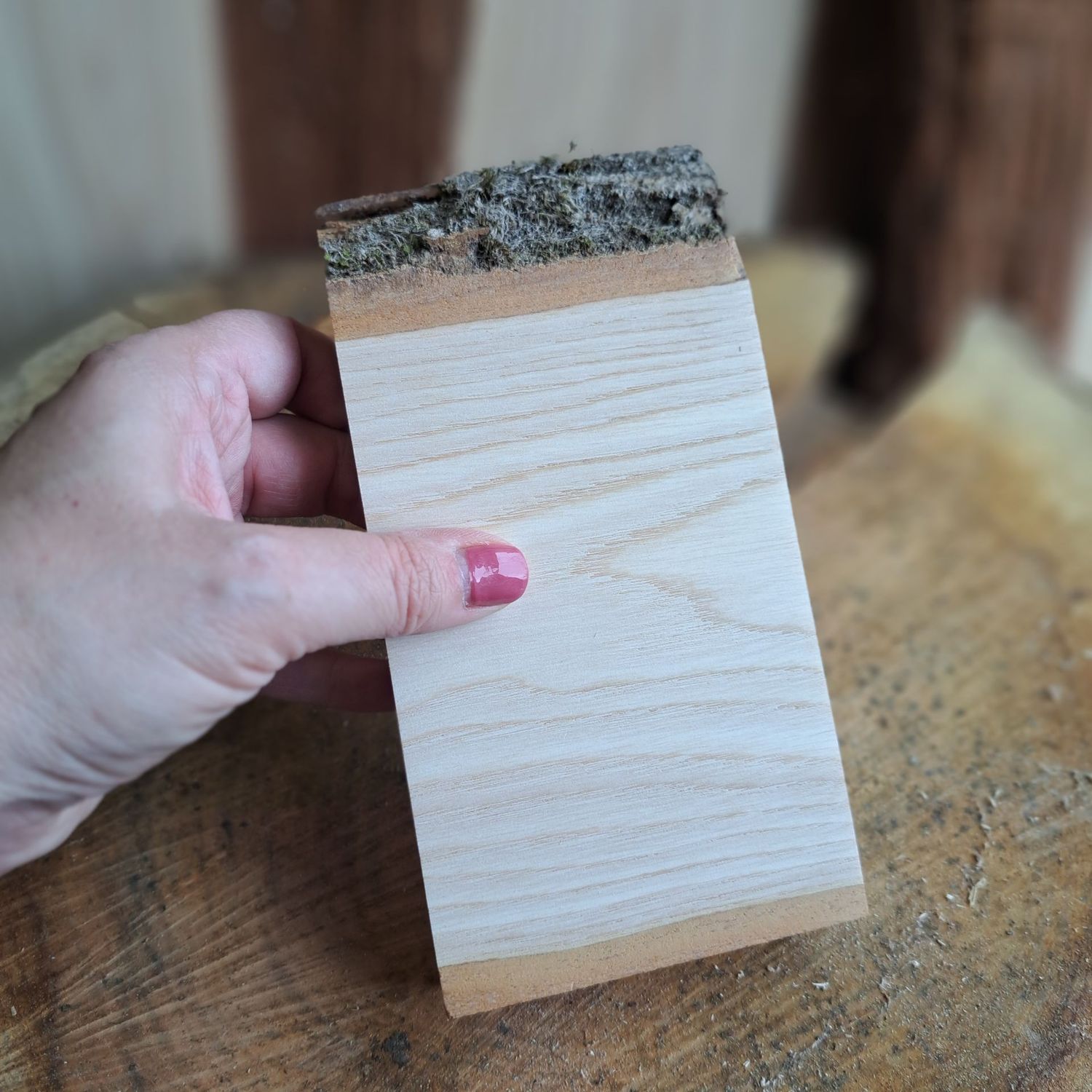 18cm tall ash blank 18cm tall ash blank