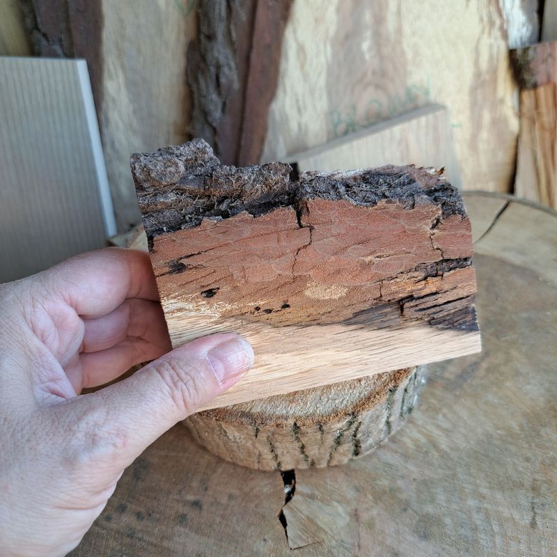 Oak wood blank