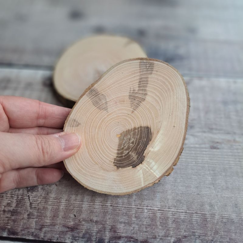 Pair of ash wood slices