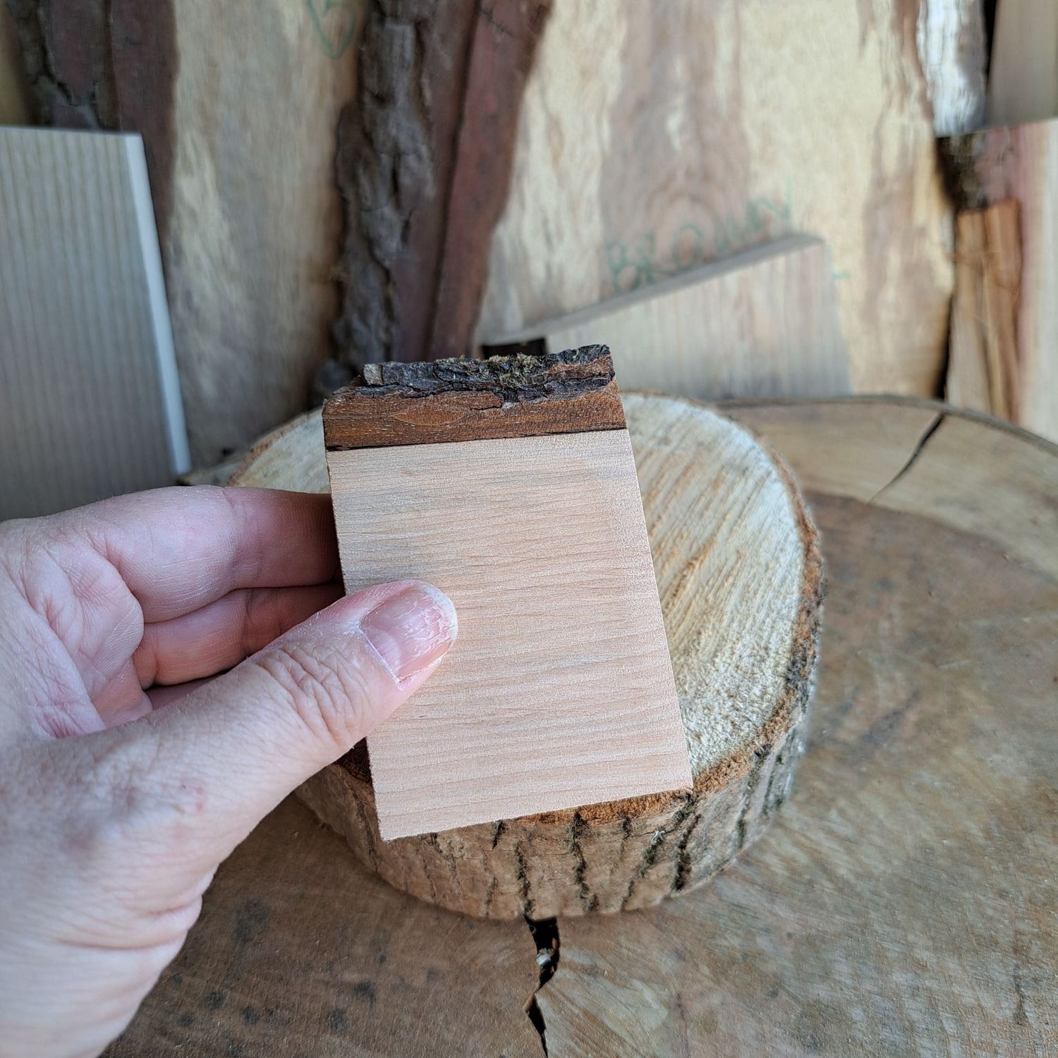 Mini alder blank