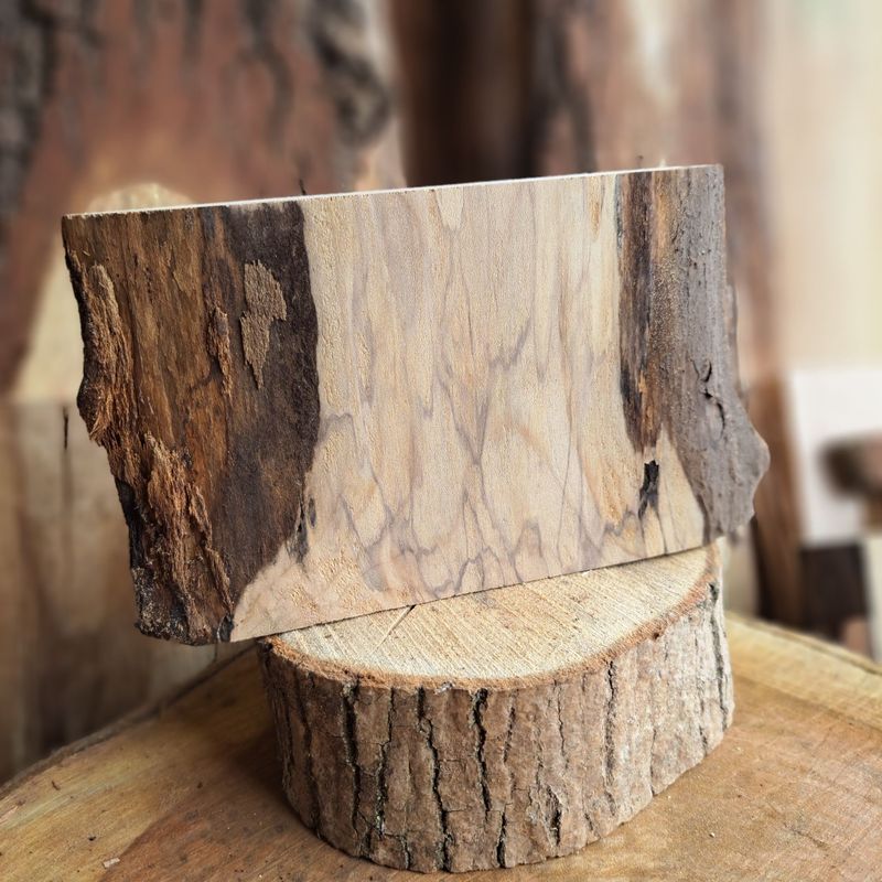 Small spalted sycamore blank