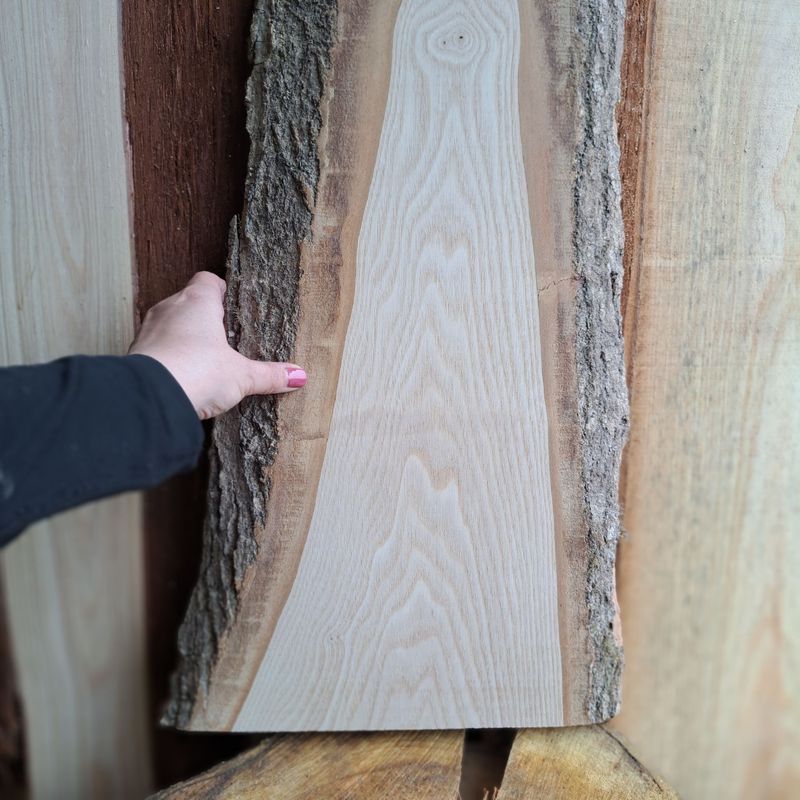 64cm large ash wood blank