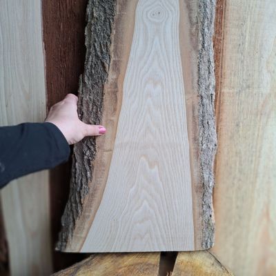 64cm large ash wood blank 64cm large ash wood blank