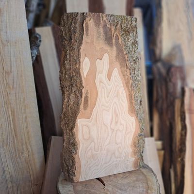 60cm large ash wood blank