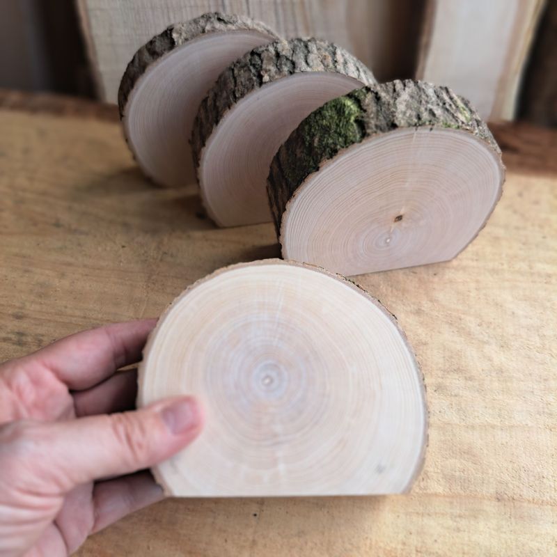 Horseshoe maple blanks Horseshoe maple blanks