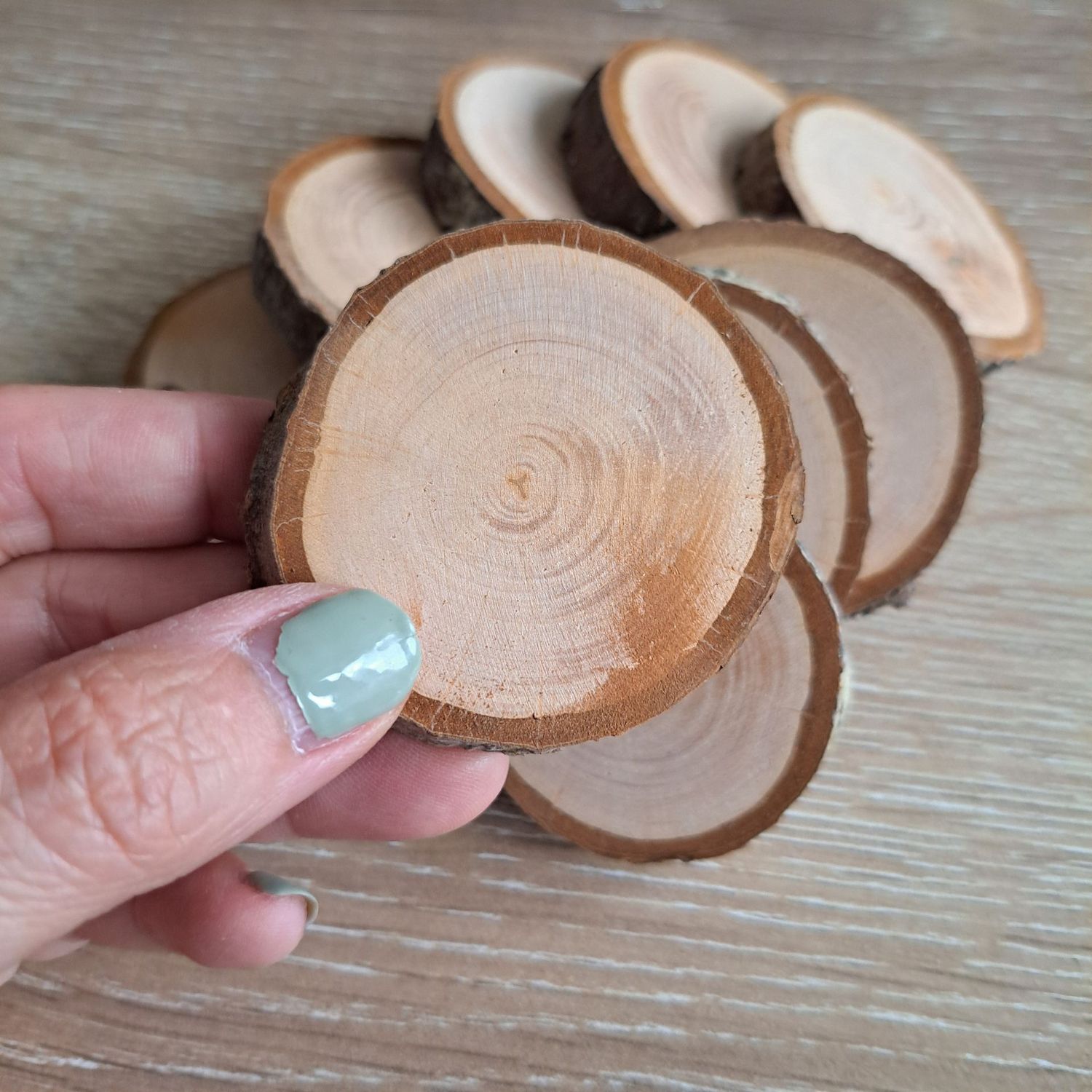 5cm alder wood slices 5cm alder wood slices