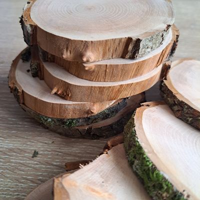 SECONDS 8cm - 9cm alder slices (missing bark)