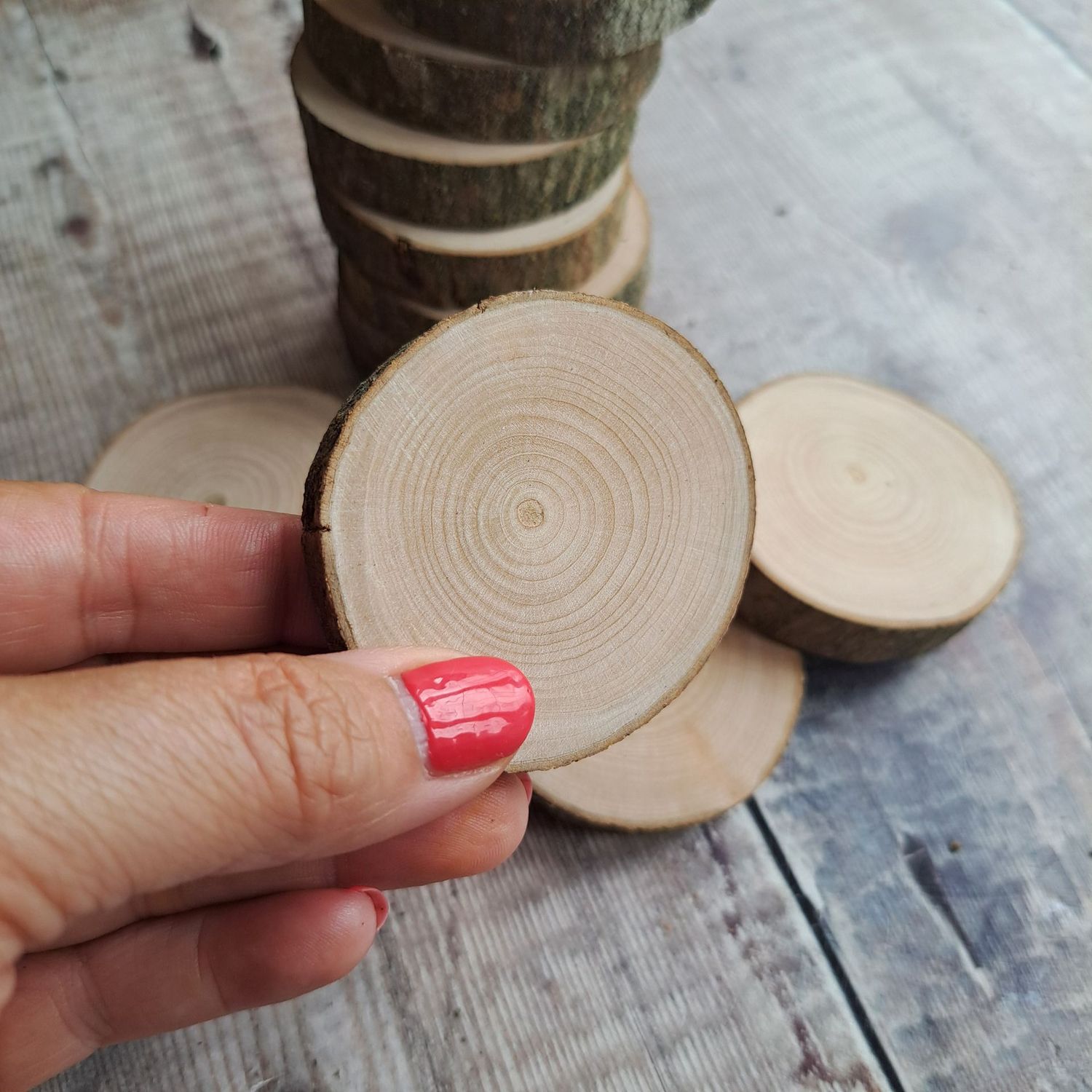 5cm - 6cm maple wood slices