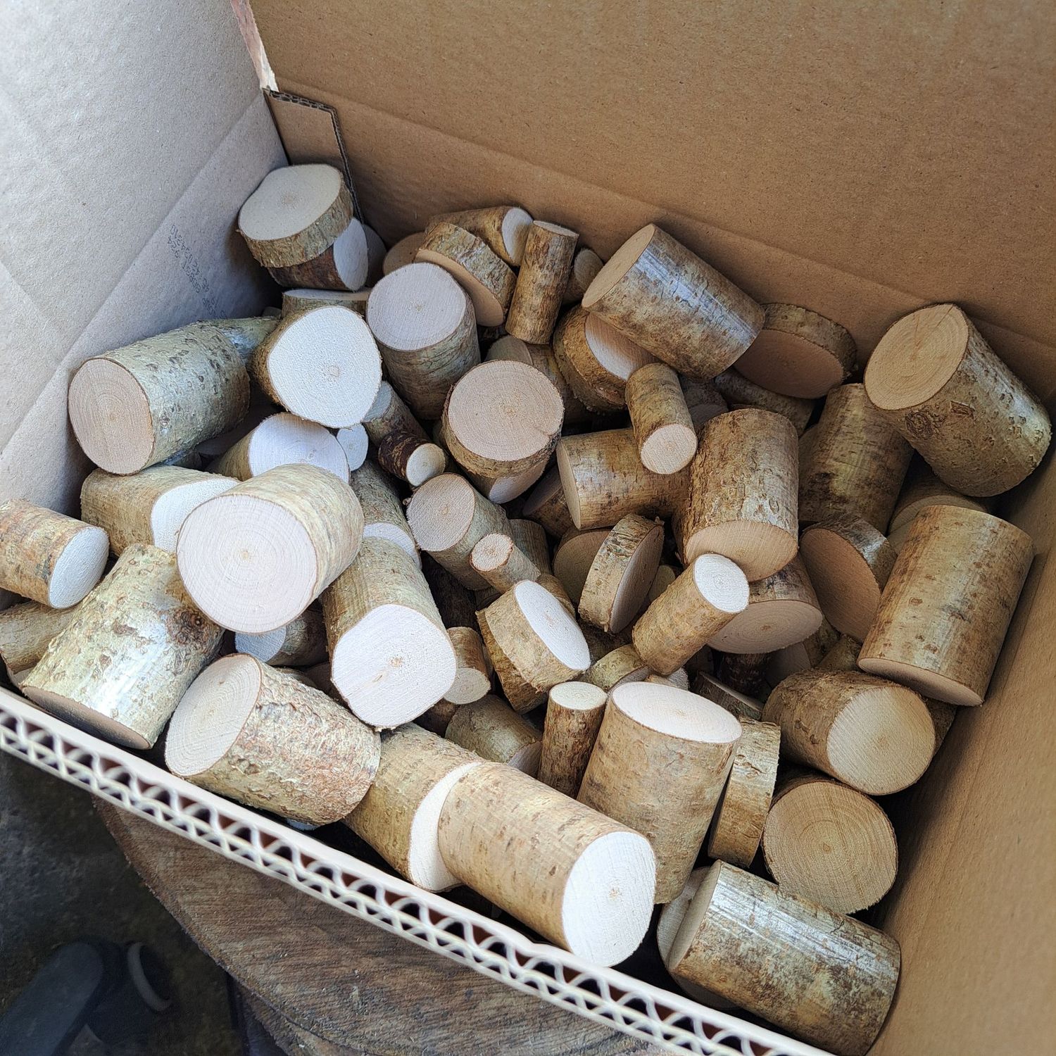 Bulk 200 mini logs, mixed sizes Bulk 200 mini logs, mixed sizes
