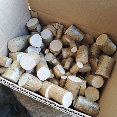 Bulk 200 mini logs, mixed sizes