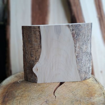 21cm tall waney edged Sycamore blank