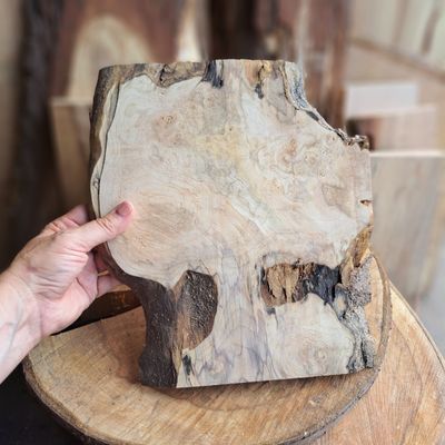 Sycamore 'tree' wood blank Sycamore 'tree' wood blank