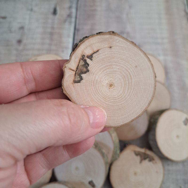 5cm maple wood slices