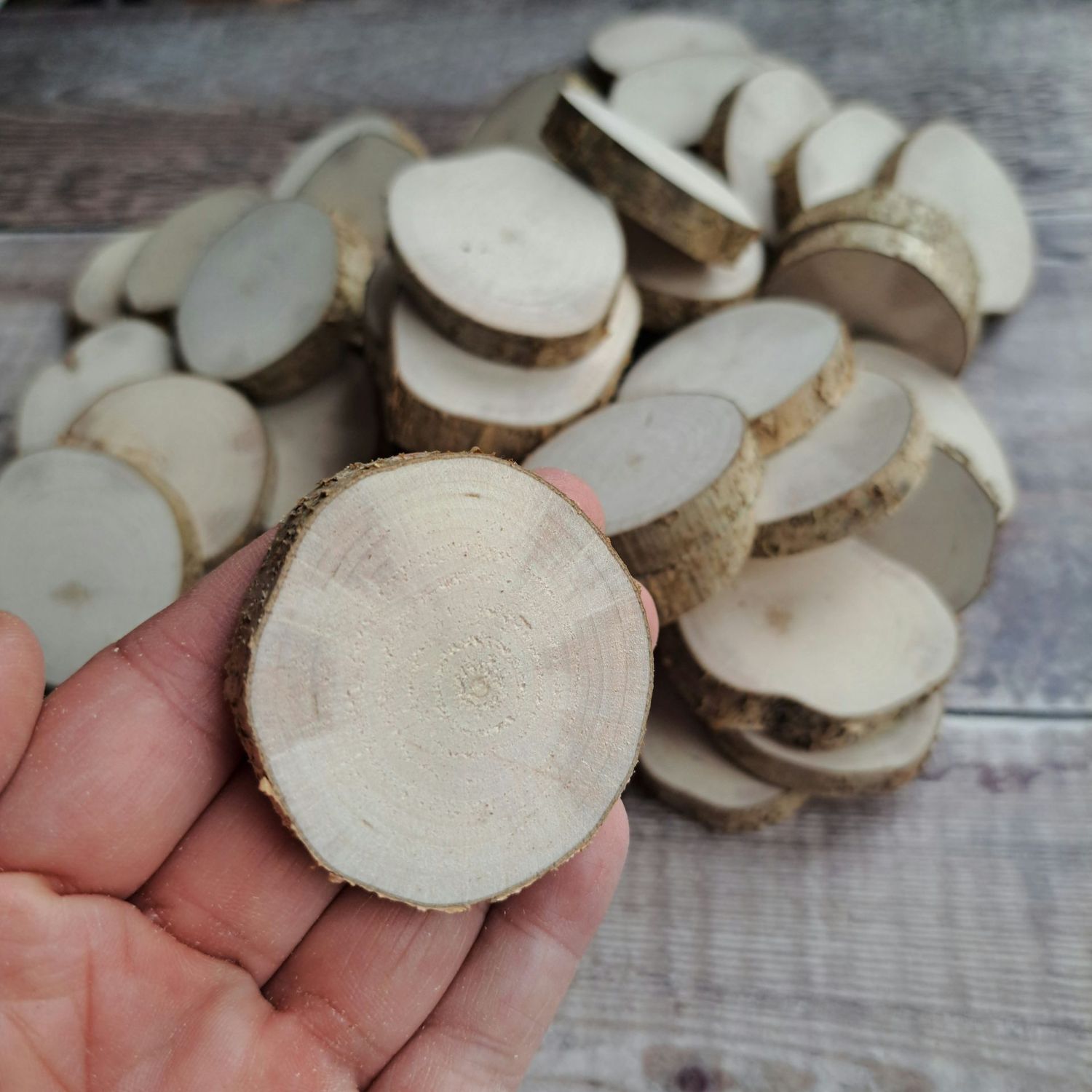4-6cm craft wood slices