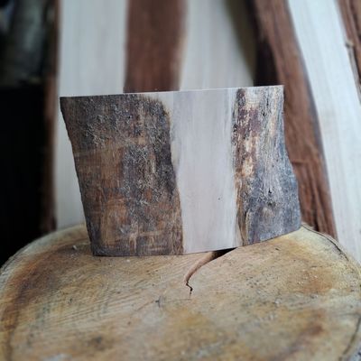 18cm tall waney edged Sycamore blank 18cm tall waney edged Sycamore blank