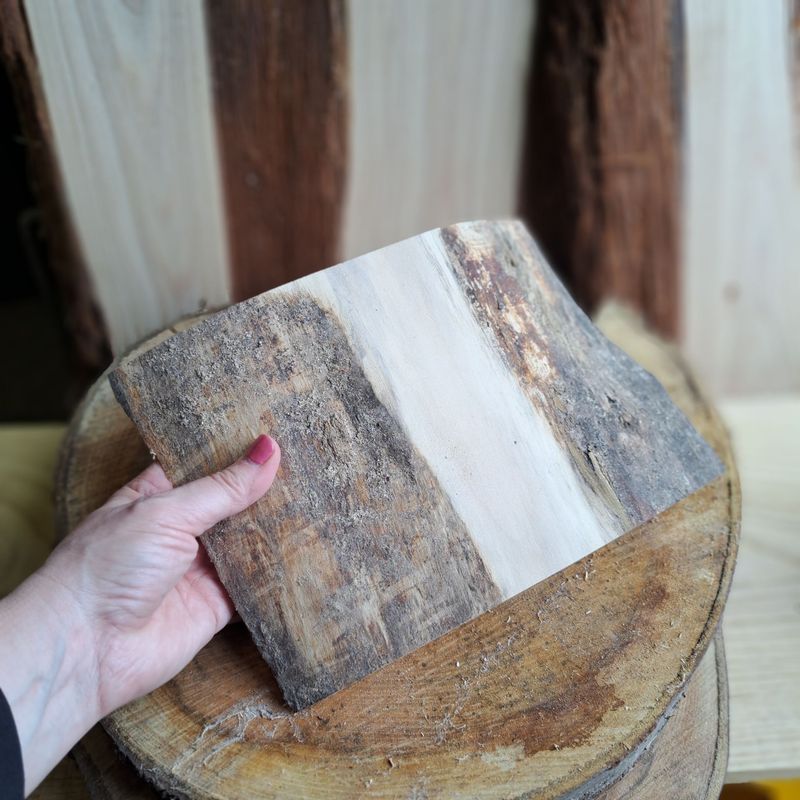 18cm tall waney edged Sycamore blank