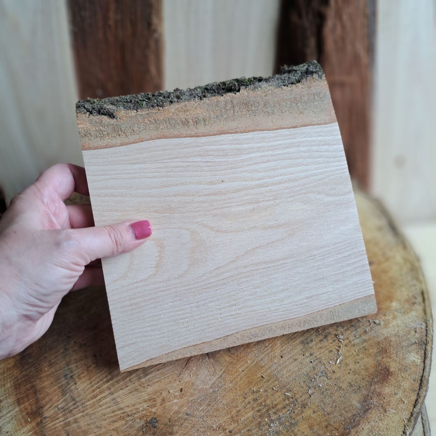 20cm ash blank with two natural edges 20cm ash blank with two natural edges
