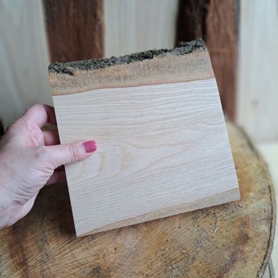 20cm ash blank with two natural edges