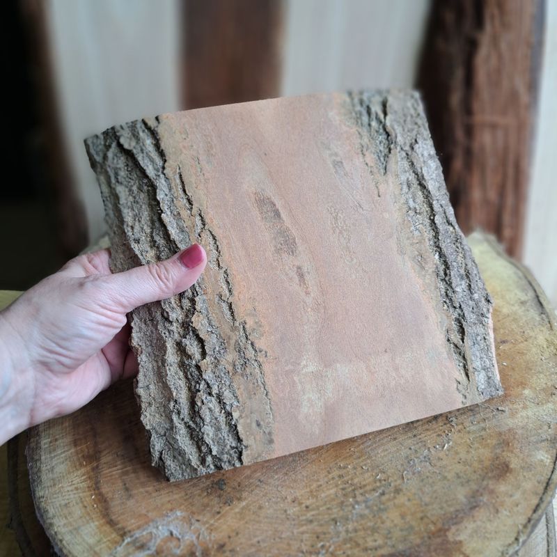 Ash bark blank for carving