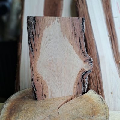Oak wood craft blank