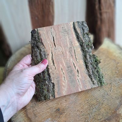 Small ash bark blank for carving