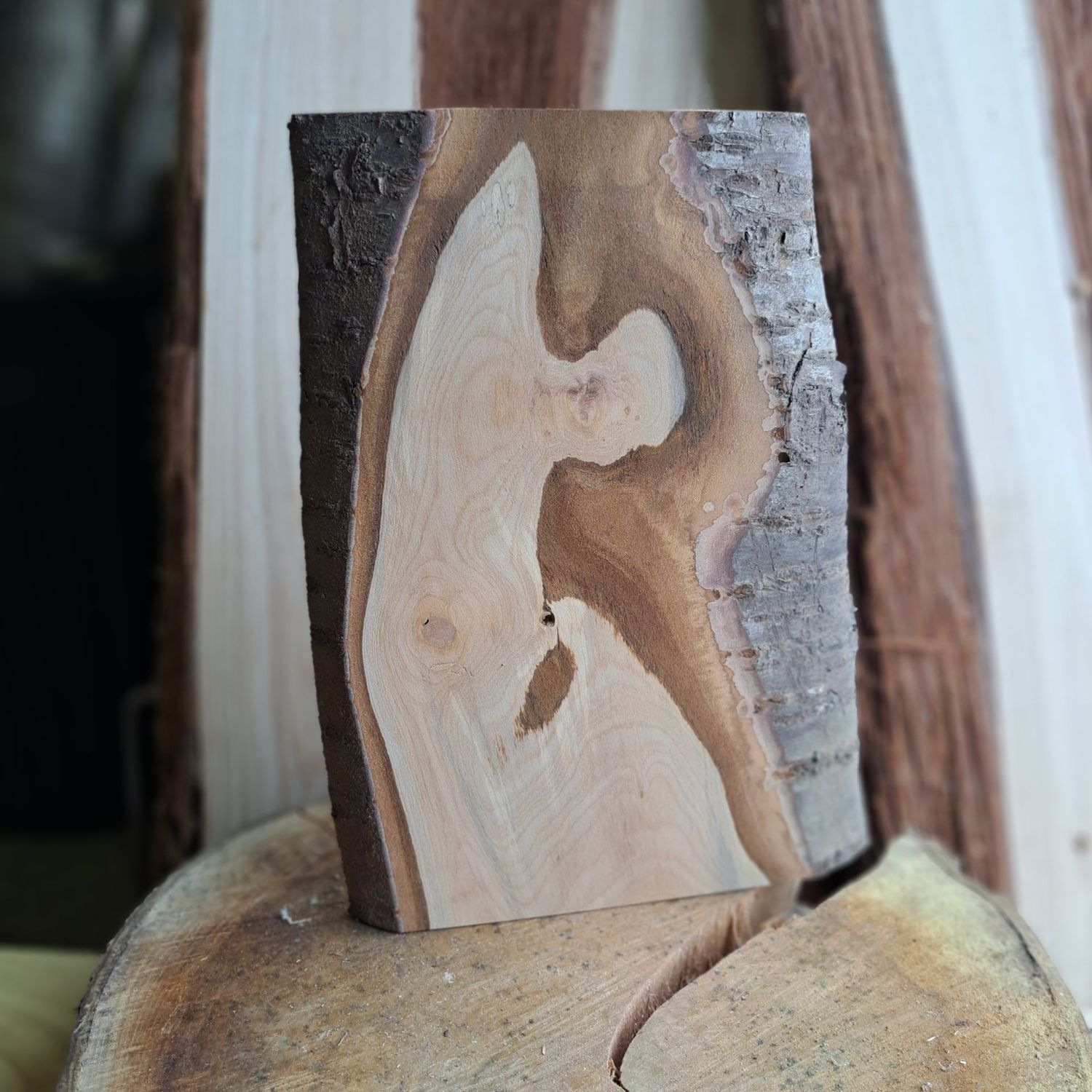 Rustic black cherry pyrography blank