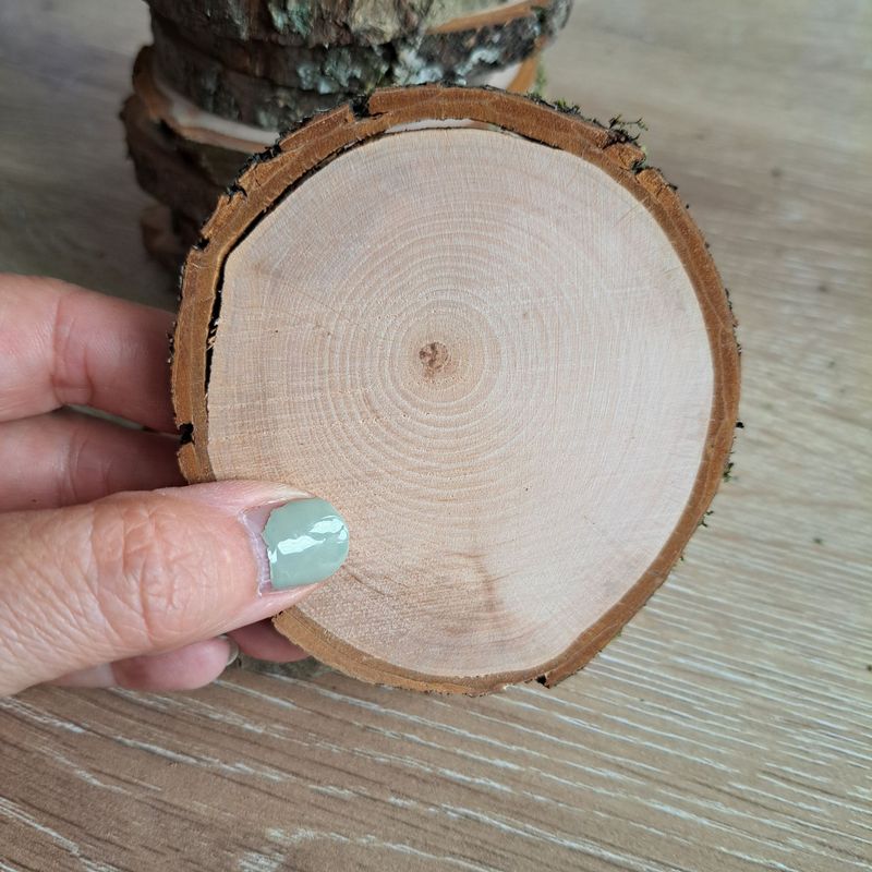 SECONDS 8cm - 9cm alder slices