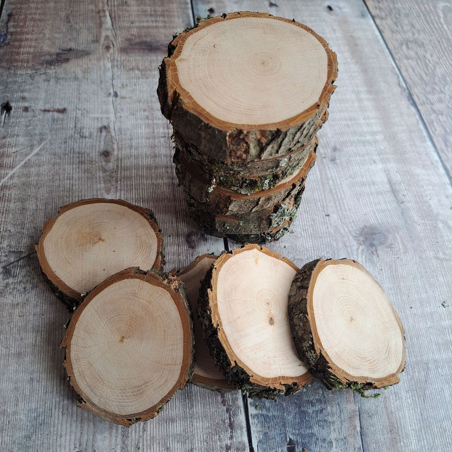 7cm Alder wood slice