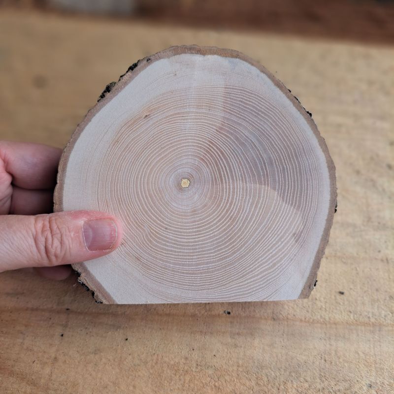 Two tone horseshoe maple blank Two tone horseshoe maple blank