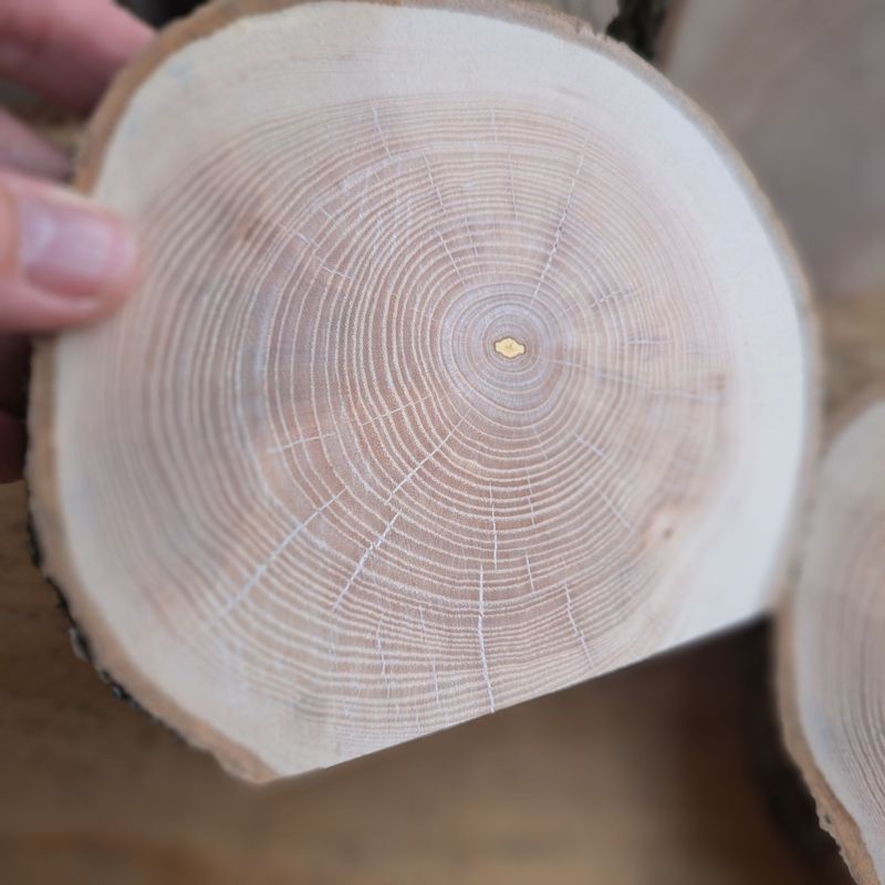 Checkered horseshoe maple blanks Checkered horseshoe maple blanks