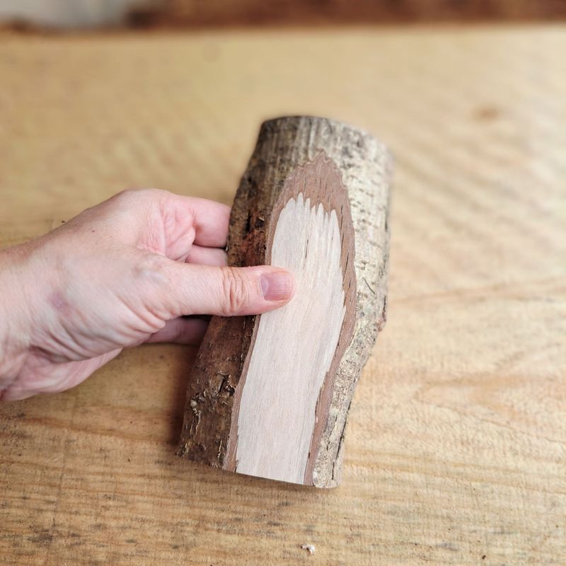 16cm hazel blank 16cm hazel blank