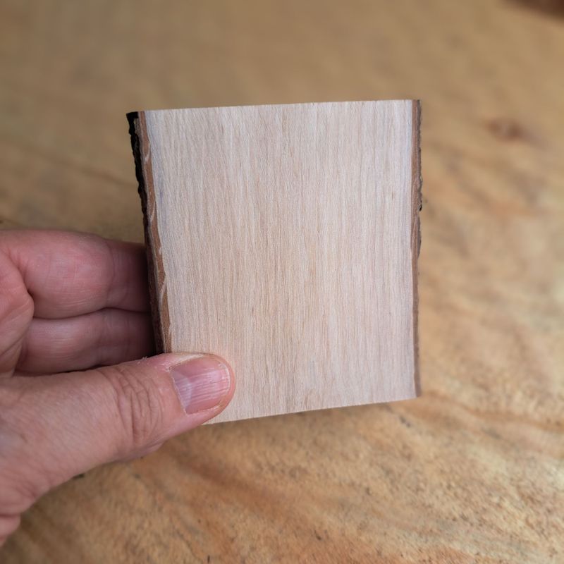 8cm hazel blank 8cm hazel blank