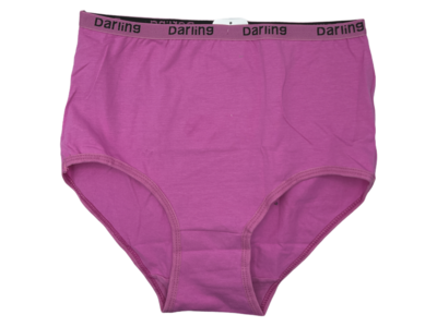 Ladies Panty