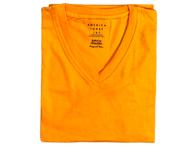 Men’s V-Neck Tee