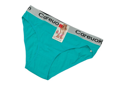Ladies Panty