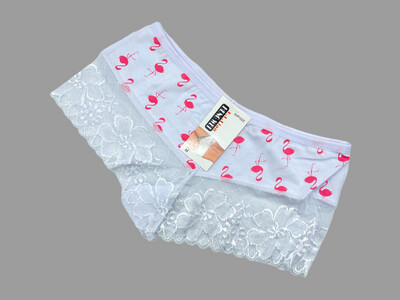 Ladies Panty