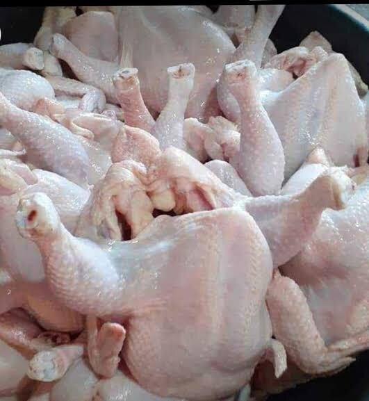 Dress Chicken