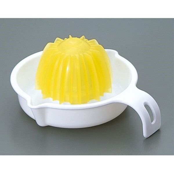 Citrus Juicer (Made in Japan)